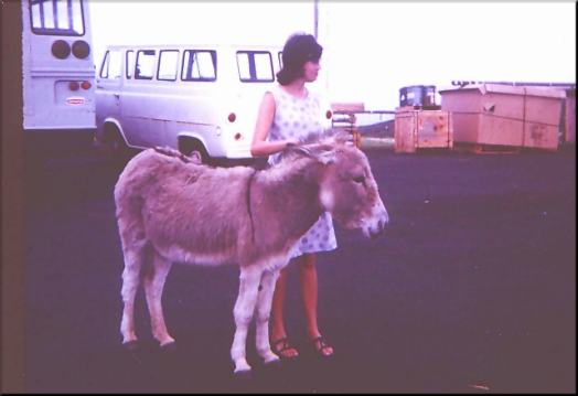 JJ & Friend, 19827 byte(s).