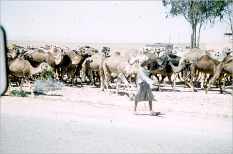 [Image]  , 38212 byte(s).