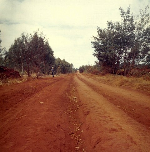 [Image]  , 63438 byte(s).