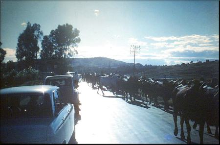 ltan11, 20730 byte(s).