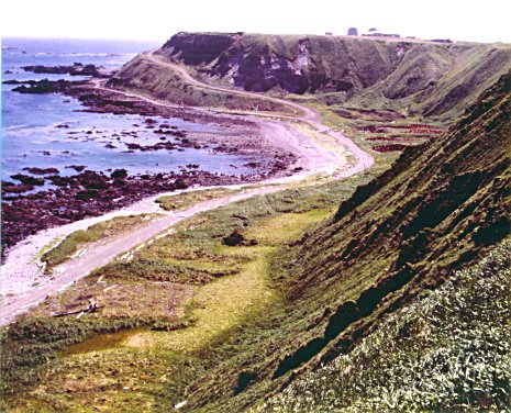 [Image]  , 68418 byte(s).