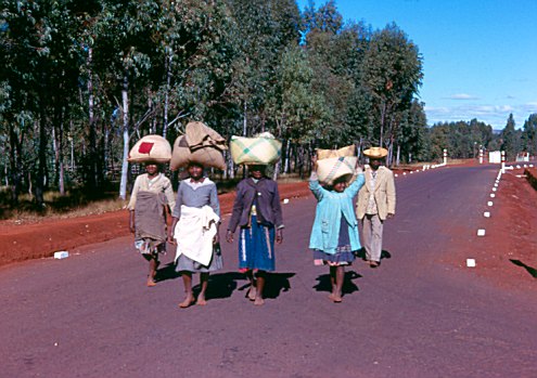 [Image]  , 52533 byte(s).