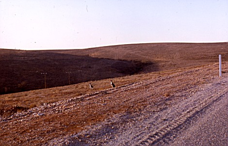 [Image]  , 51941 byte(s).